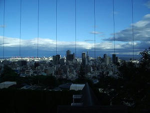 IMGP3555.jpg
