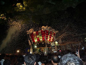 IMGP3881.jpg
