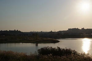 DSCF0132.jpg