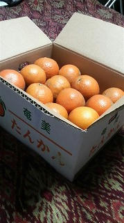 2008022900530000.jpg