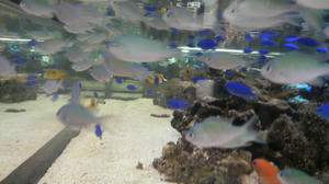 2008051810580000.jpg