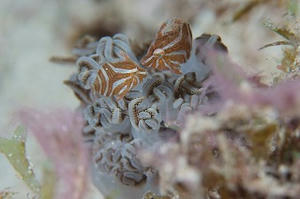 DSCF6147.jpg