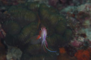 DSCF6268.jpg