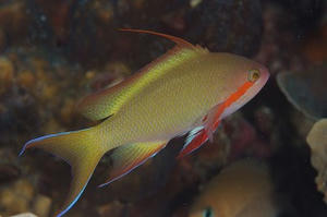 DSCF6270.jpg