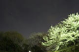 DSCF7244.jpg