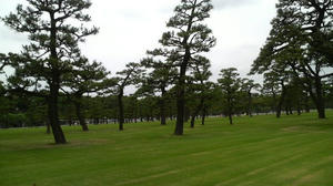 P1002113.JPG