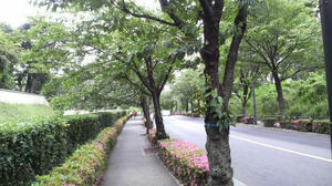 P1002115.JPG