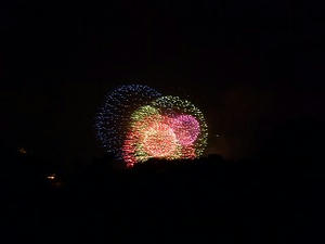 P1000756.jpg