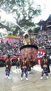 P1002462.jpg