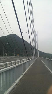 P1002538.jpg
