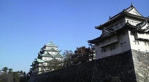 P1002747.jpg