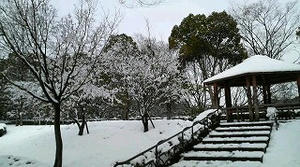 2011021114360000.jpg