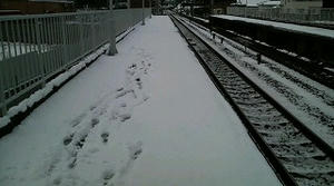 2011021122190000.jpg