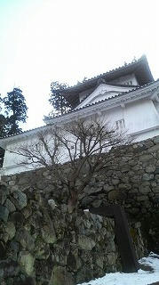 P1003076.jpg