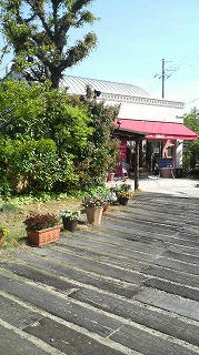 P1003215.jpg