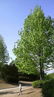 P1003220.jpg