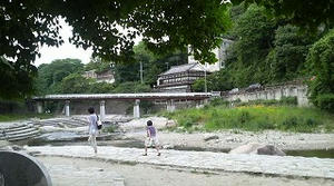 P1003240.jpg