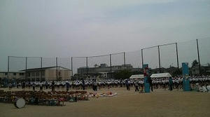P1003255.jpg
