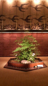 P1003303.jpg
