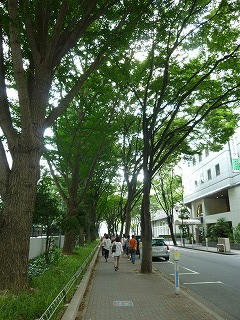 P1020129.jpg