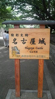 P1003341.jpg