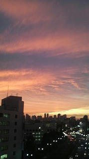 P1003632.jpg