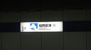 P1003642.jpg