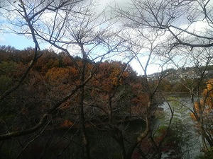 P1003773.jpg