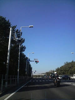 P1003893.jpg