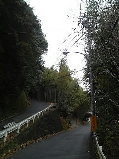 P1003925.jpg