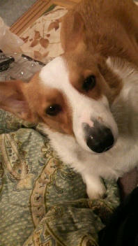 2012031219580000.jpg
