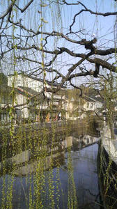 P1005150.JPG