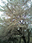 08-04-11_16-11.jpg