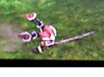 kirinX2.JPG