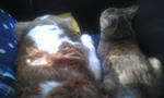 Image000.jpg