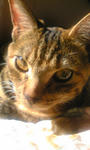 Image011.jpg