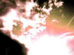 P1010051-0.jpg