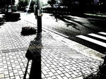 P1010044-0.jpg