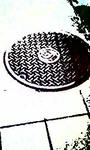 Image193.jpg