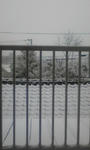 Image0-2.jpg