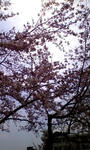 100419_113058.JPG