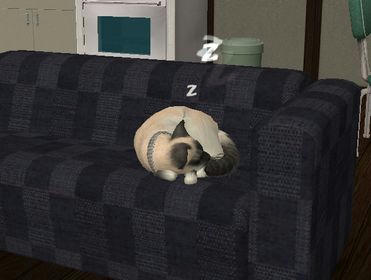 0b048196.jpeg