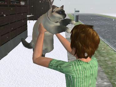 e34809b5.jpeg