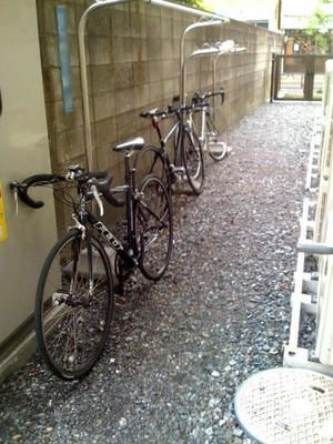 勢揃い