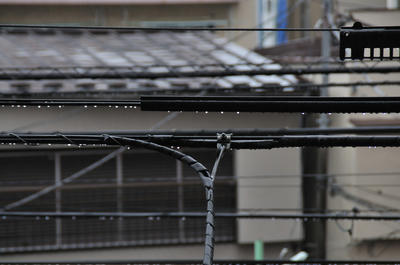 電線に雨