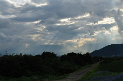 天使の降りる道