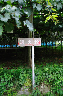 消火栓