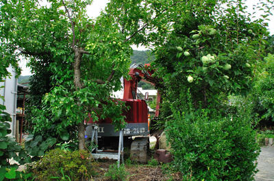 The agricultural machine 6