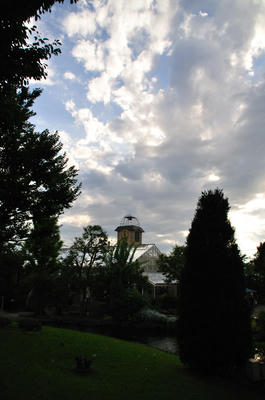 ハーブ園３