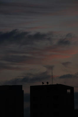 中野の空